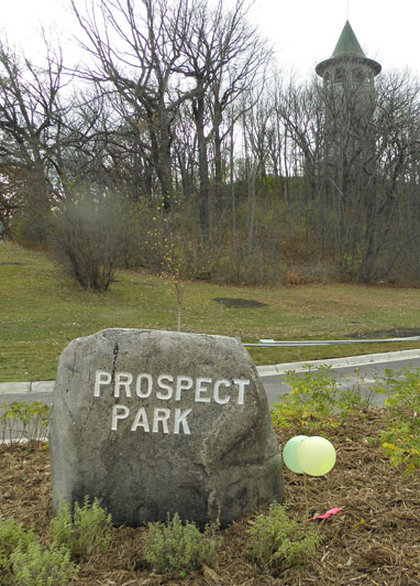 Prospect Park Rock + Tower Hill