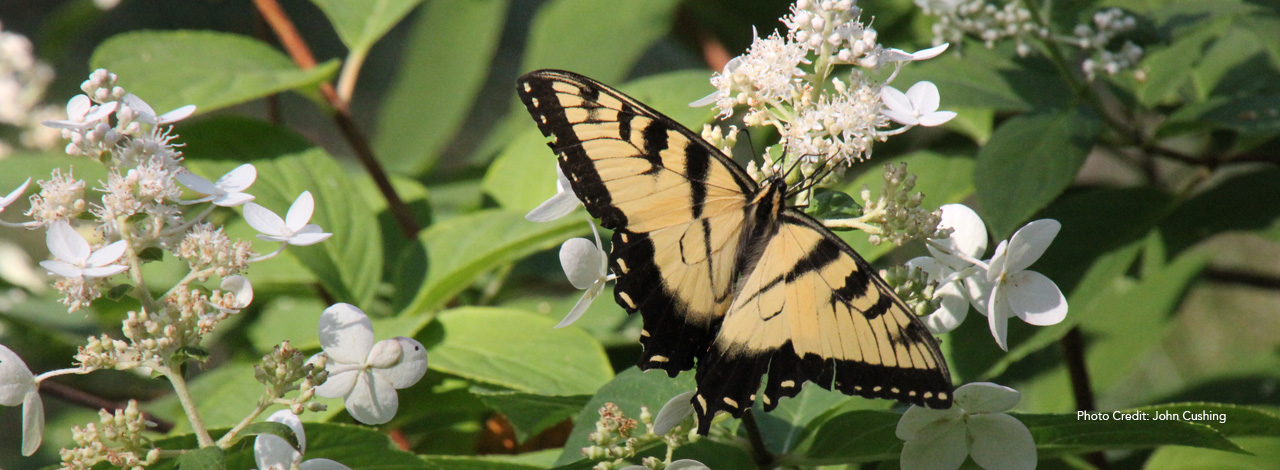 Prospect Park Minneapolis Slideshow